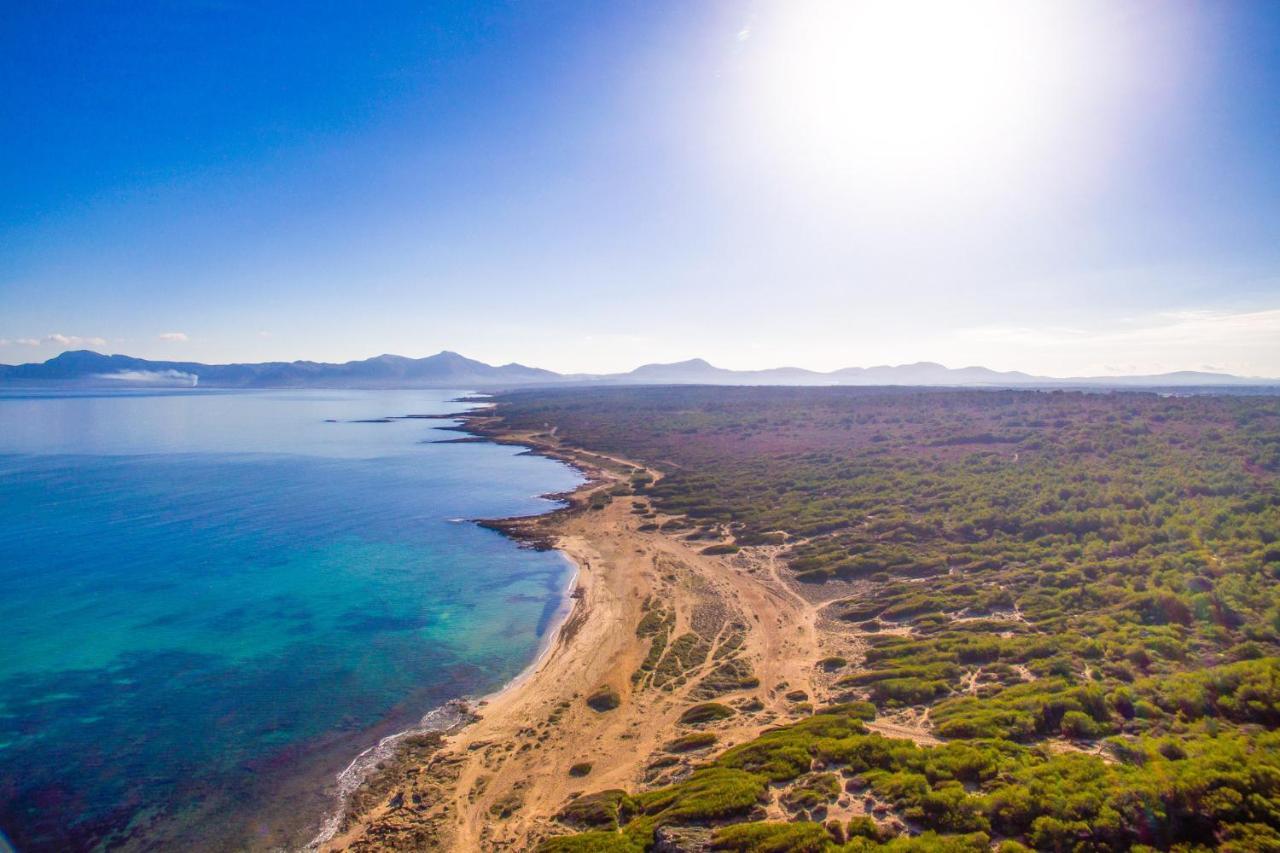Landhaus Ideal Mallorca - Puig D'en Guardiola